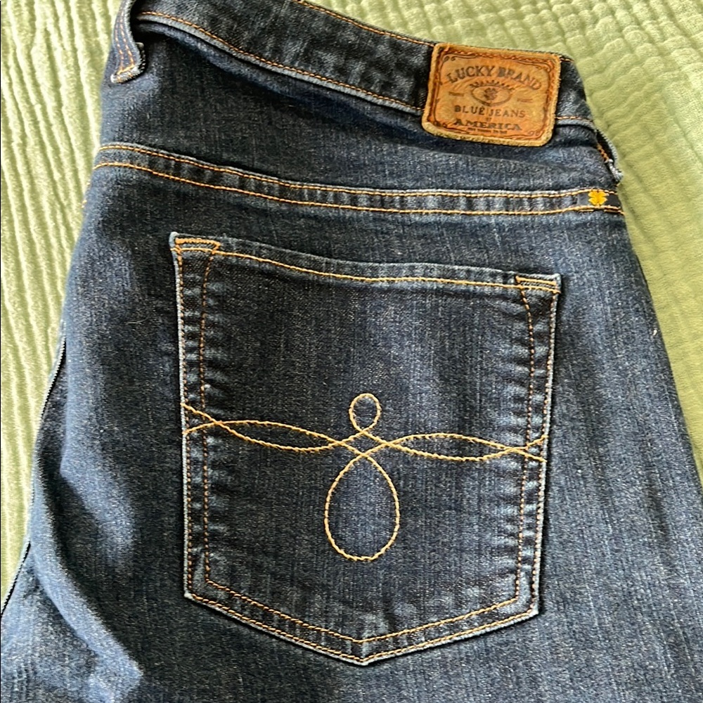 Lucky Brand Blue Jeans with Embroidered Pocket womens plus size 20W-ginger skinn